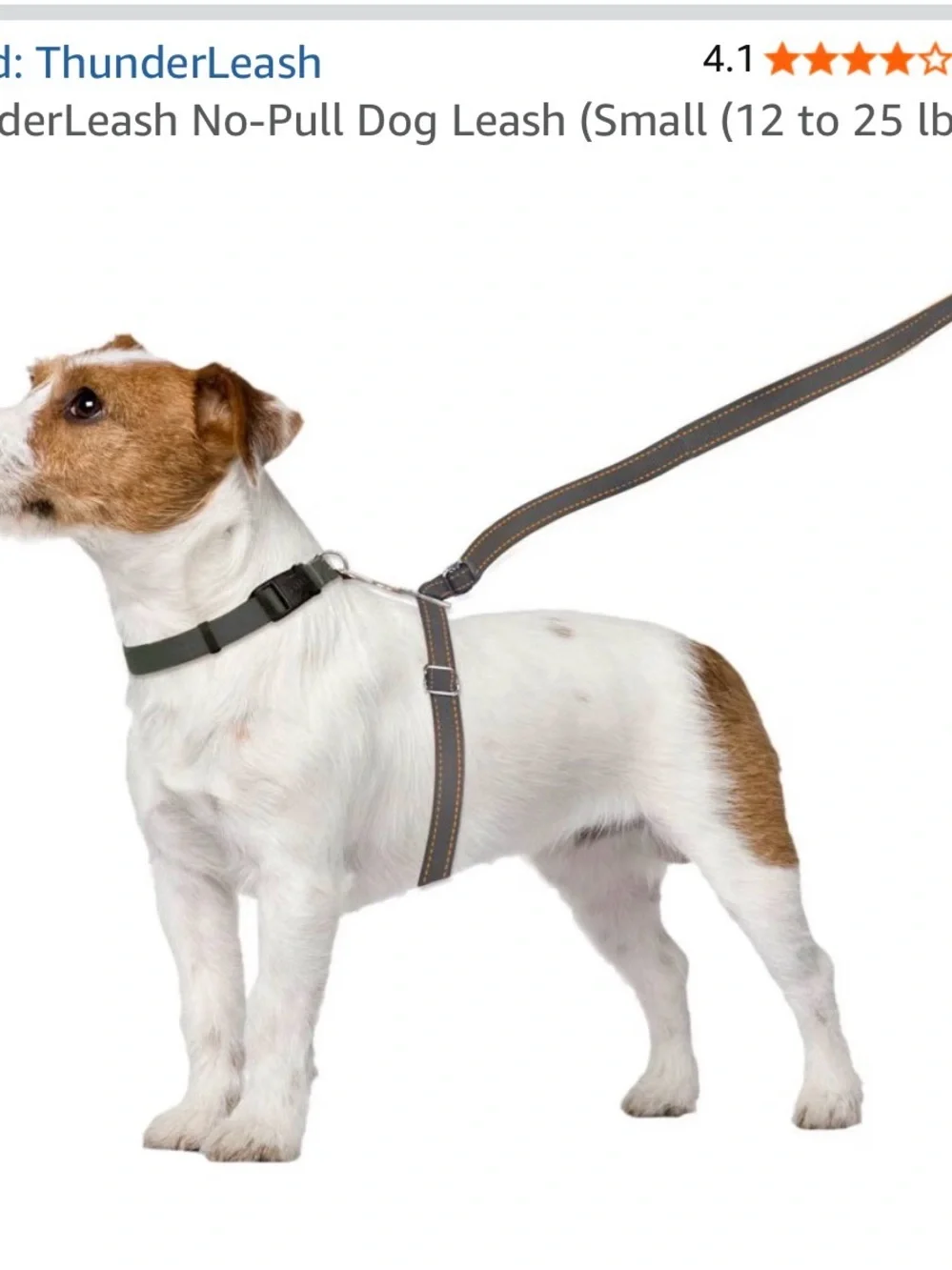 ThunderLeash best no